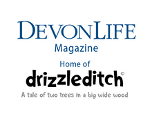 Load image into Gallery viewer, Sapling - 'Leafy Hug' mug